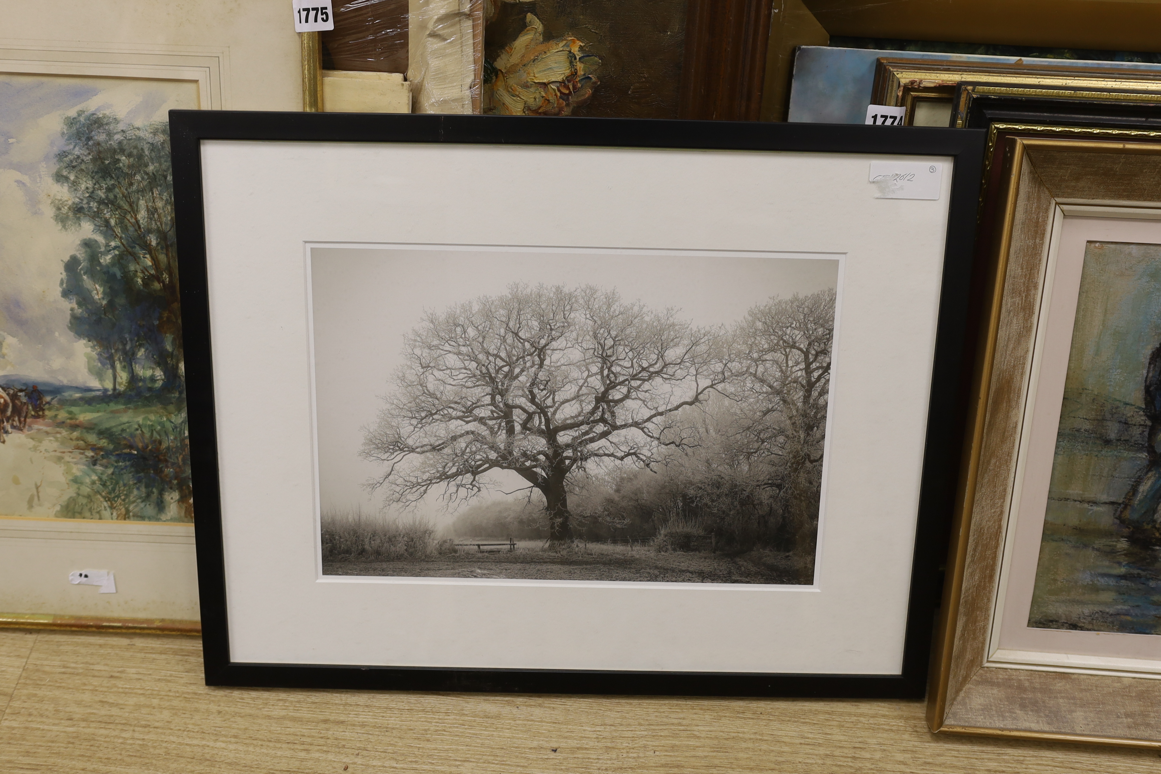 Ben Ramos, black and white photograph, Oak tree in winter, inscribed verso, 25 x 38cm
